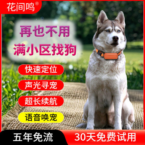 花间鸣宠物定位器狗狗实时gps定位项圈响铃寻宠猫毛孩追踪防走失
