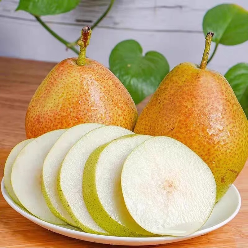 新鲜梨子10斤当季整箱新鲜水果批发红香酥梨山西小梨子大梨子脆甜