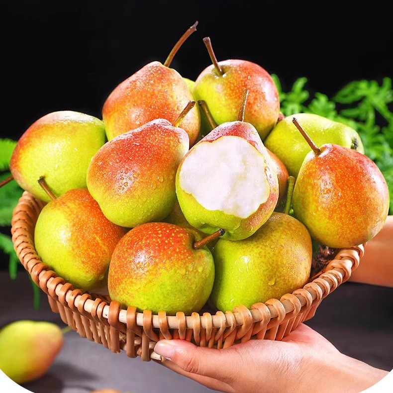 梨子新鲜水果当季批发红香酥梨山西脆甜多汁小梨产地直发整箱十斤