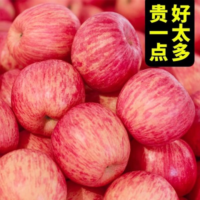 精选甘肃静宁新鲜红富士苹果整箱