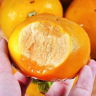 柿子脆甜新鲜巧克力水果特大富平脆皮山西阳丰正宗当季冰糖心应季