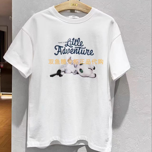 T恤吊牌795 2024春多色印花短袖 3I1B308折dzzit地素国内正品 代购