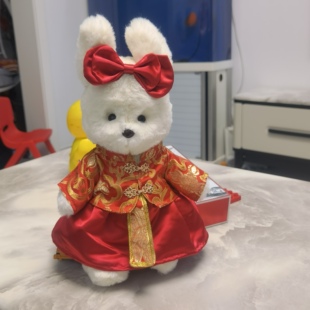 莉娜兔衣服中号莉娜熊着替毛绒玩具公仔兔子换装超萌娃衣套装配件