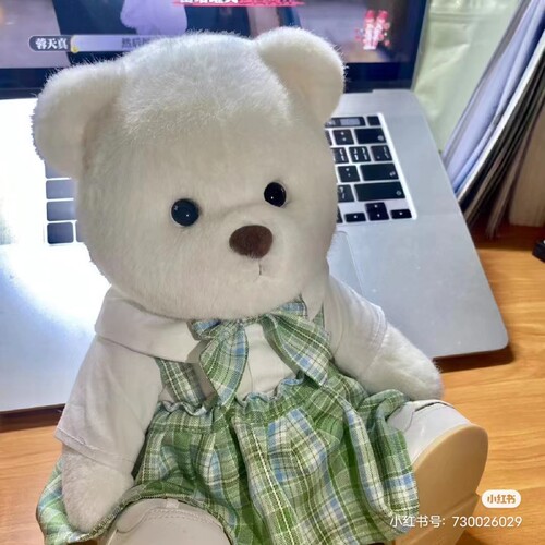 莉娜熊毛绒玩偶公仔衣服泰迪熊