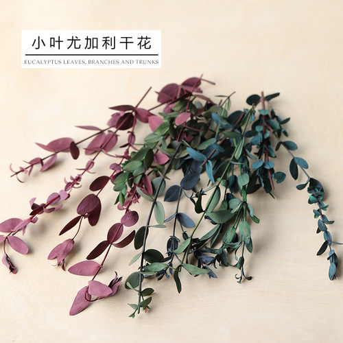 小叶尤加利干树枝耗材香薰蜡烛