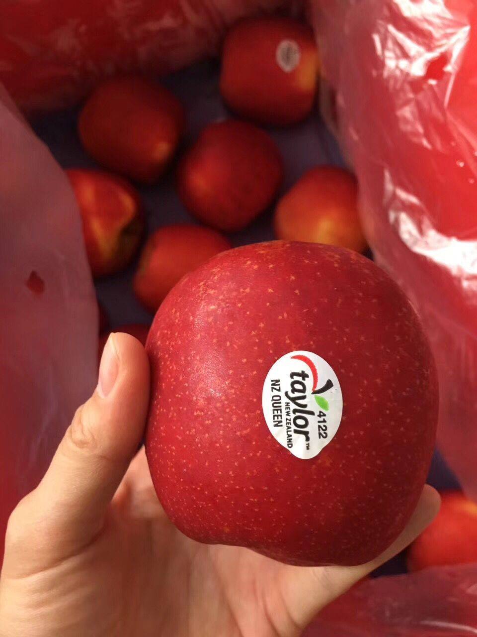 新西兰红玫瑰苹果4122红玫瑰taylor17个大果装 约8斤南宁同城免邮