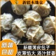 新疆特产薄皮包子牛肉羊油包子早餐速食包子牛肉馅灌汤包小笼包