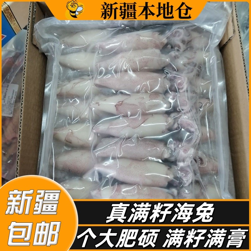 新疆包邮新鲜带籽笔管鱼满籽