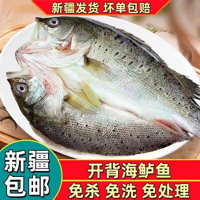 新疆包邮新鲜开背鲈鱼