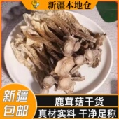 新疆 包邮 新鲜鹿茸菇干货鹿茸菌食用菌香菇野生脆脆菇煲汤干锅食材