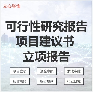 可行性研究报告编制 项目建议书 立项报告 可研 项建