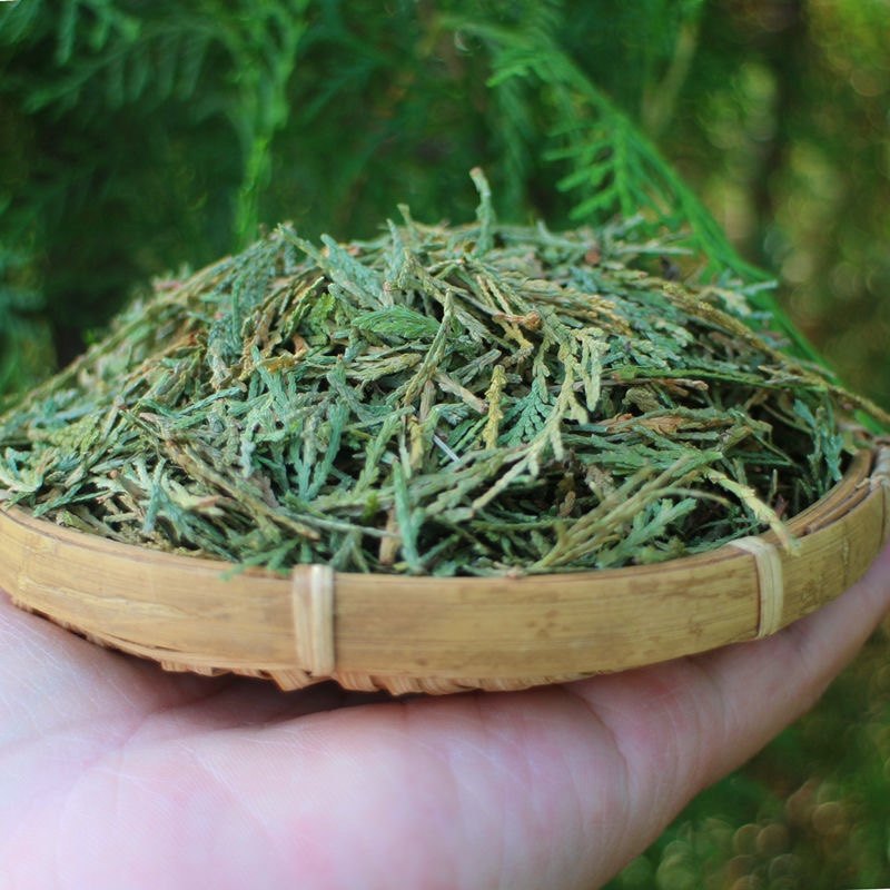 天然侧柏叶 野生新鲜晒干侧柏叶粉洗头熏肉泡酒无硫,传统滋补营养品,其他药食同源食品,淘宝优惠券,粉丝福利购,淘宝优惠卷