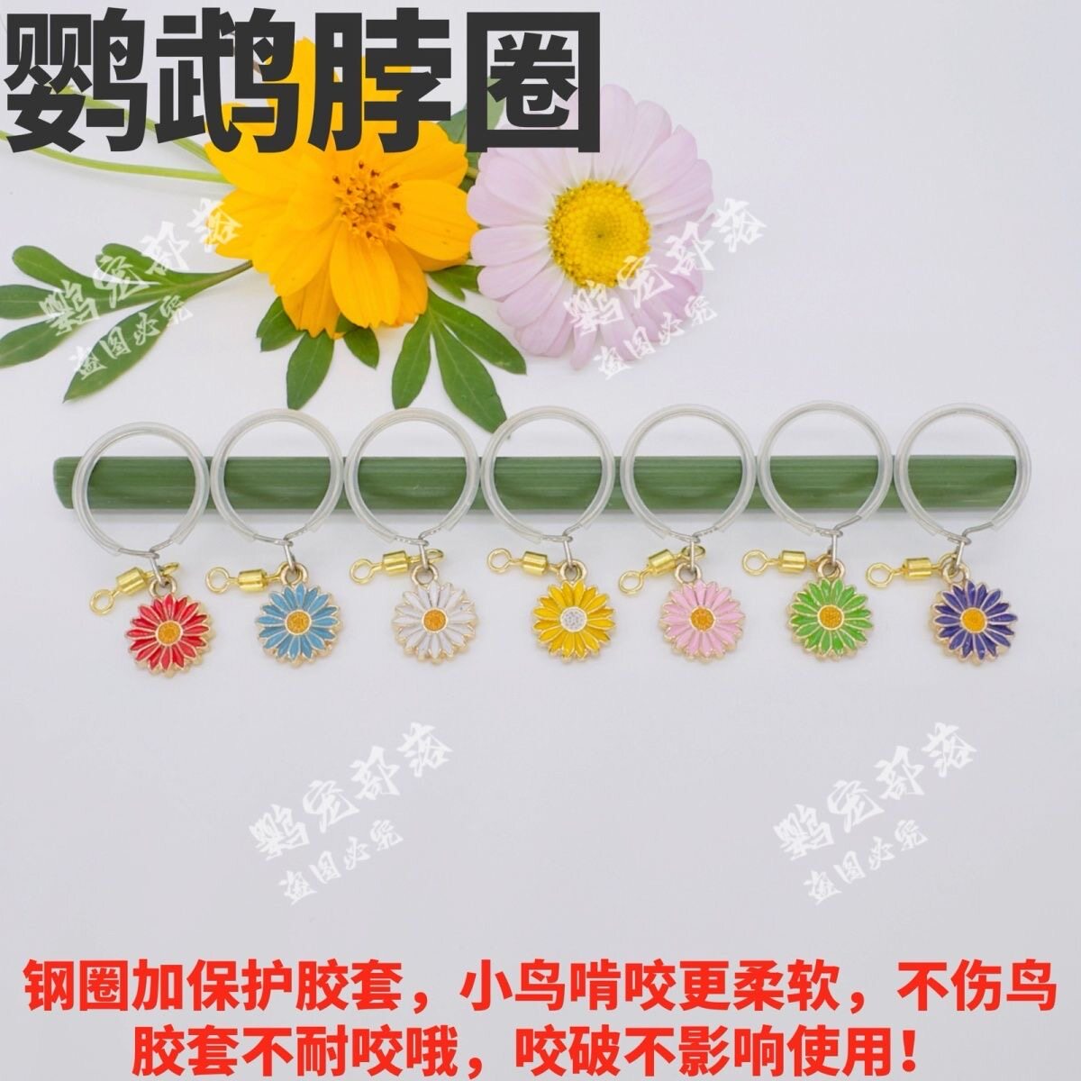 小太阳鹦鹉脖圈栓鸟链子玄凤鹦鹉脖套和尚金太阳牵引项链放飞项圈