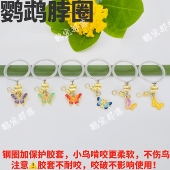 牡丹鹦鹉脖圈栓鸟链子虎皮玄凤小太阳和尚牵引项链金太阳遛鸟神器