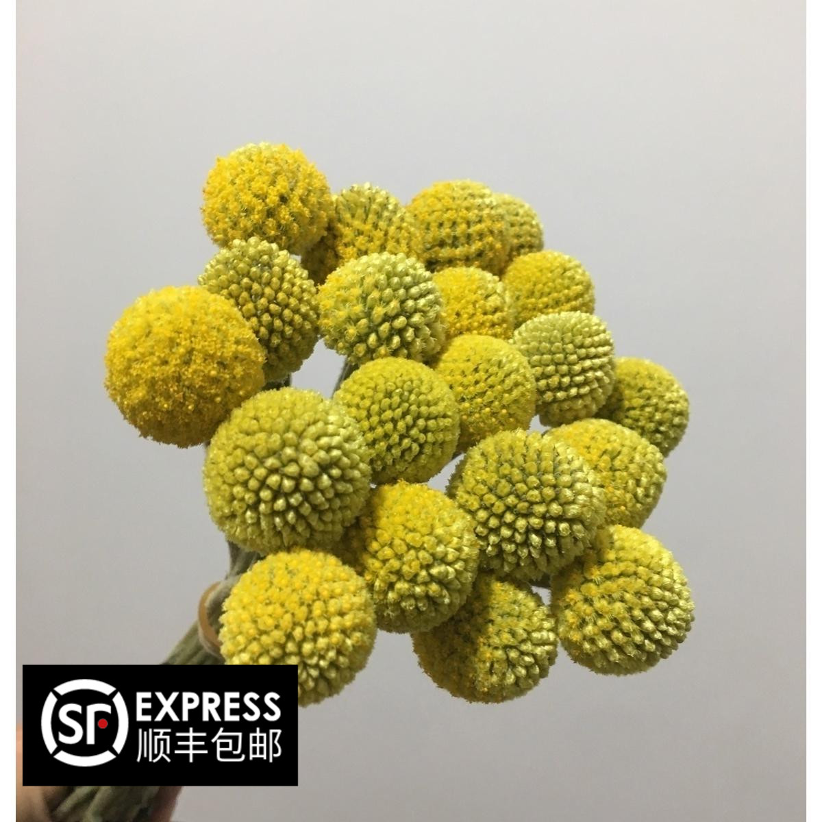diy黄金球摄影手工制作鲜花