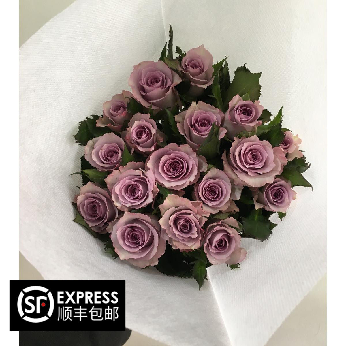 【格桑花】新鲜紫玫紫色玫瑰单头海洋之歌紫霞仙子18支/扎包空运