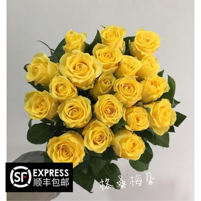 【格桑花】新鲜鲜花单头玫瑰黄玫瑰金香玉大花苞系A级优质玫瑰