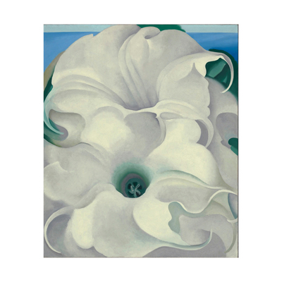 曼陀罗植物花卉装饰画手绘临摹玄关静物挂画欧姬芙O'Keeffe奥基夫