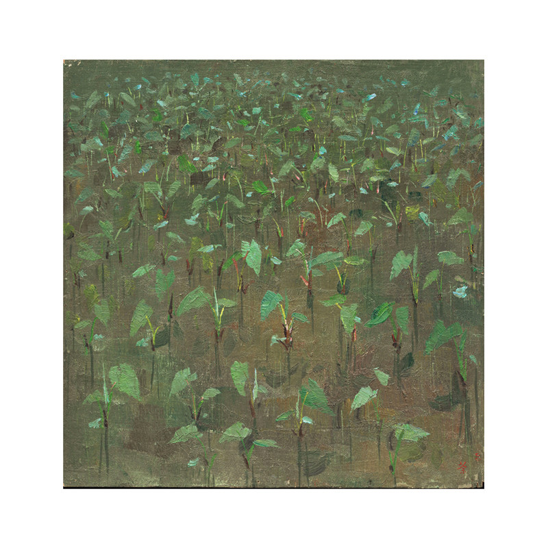 上海中华艺术宫吴冠中作品绿苗圃芋苗临摹油画手绘中式乡村装饰画