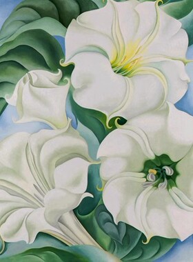 奥基夫花卉装饰画曼陀罗白色花3号Georgia O'Keeffe手绘临摹油画