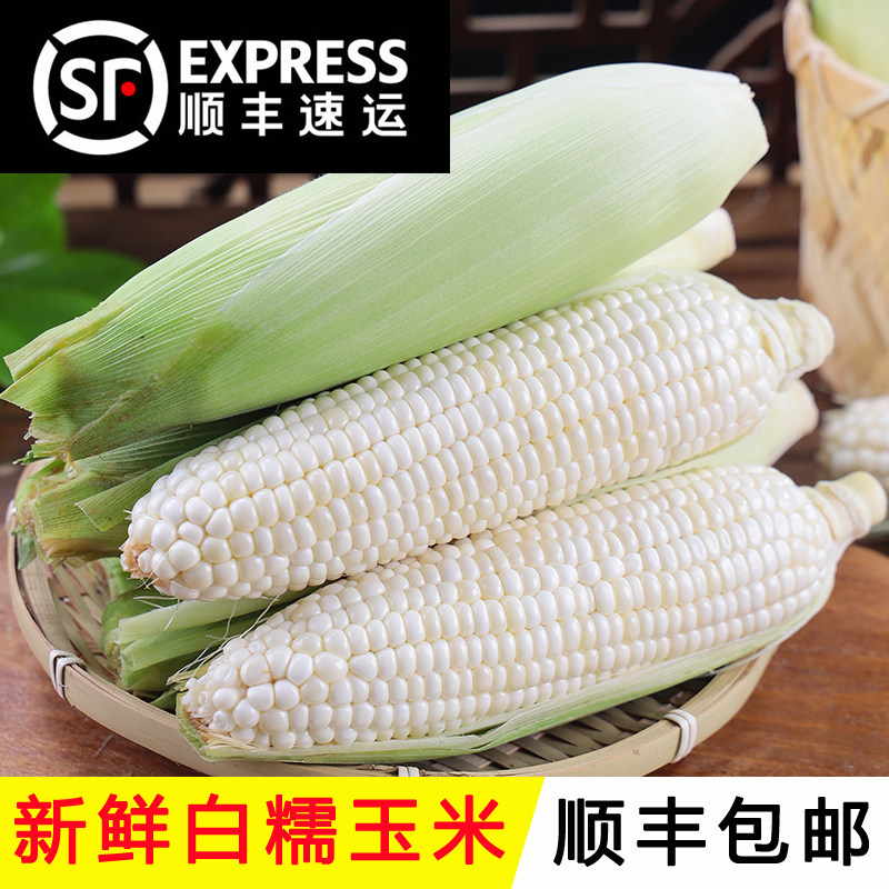 [顺丰包邮]广西紫皮白糯玉米5斤装现摘现发甜糯玉米新鲜带壳发货,水产肉类/新鲜蔬果/熟食,新鲜玉米,淘宝优惠券,粉丝福利购,淘宝优惠卷