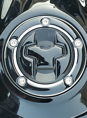 摩托车GSX250R油箱盖贴DL250贴纸gw250改装DR300油箱贴TR300立体