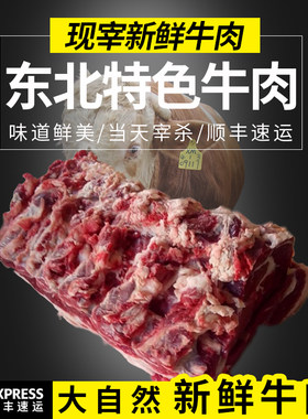 齐齐哈尔烧烤之都东北特色牛肉