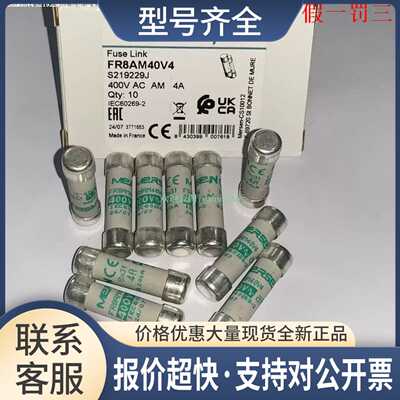 FR8AM40V6 FR8AM40V8 FR8AM40V10 FR8AM40V12 MERSEN美尔森熔断器
