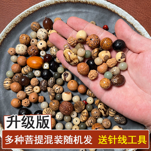 天然菩提子散珠 金刚凤眼龙眼麒麟眼无患子菩提根 手串DIY包挂件