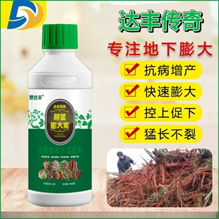 达丰传奇根茎膨大素 地下传奇黄芪党参当归款冬花根茎生物膨大素