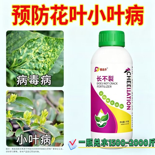 长不裂防止小叶黄叶快速恢复