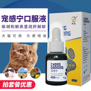 【狗发烧图片】狗发烧图片大全