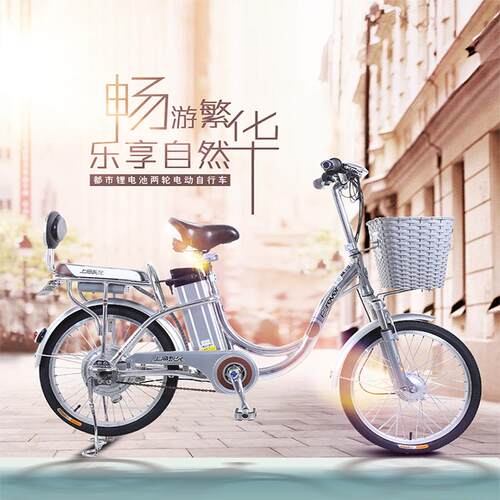 永久电动自行车48v助力锂电池