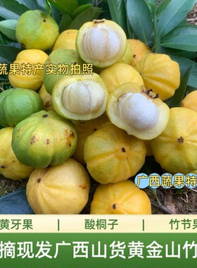 广西野生山竹 岭南山竹 木竹子流茫子黄牙桔新鲜水果5斤装 黄牙果