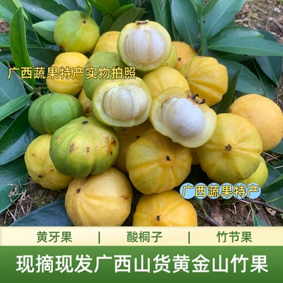 广西野山竹 岭南山竹 木竹子流茫子黄牙桔新鲜水果5斤装 黄牙果