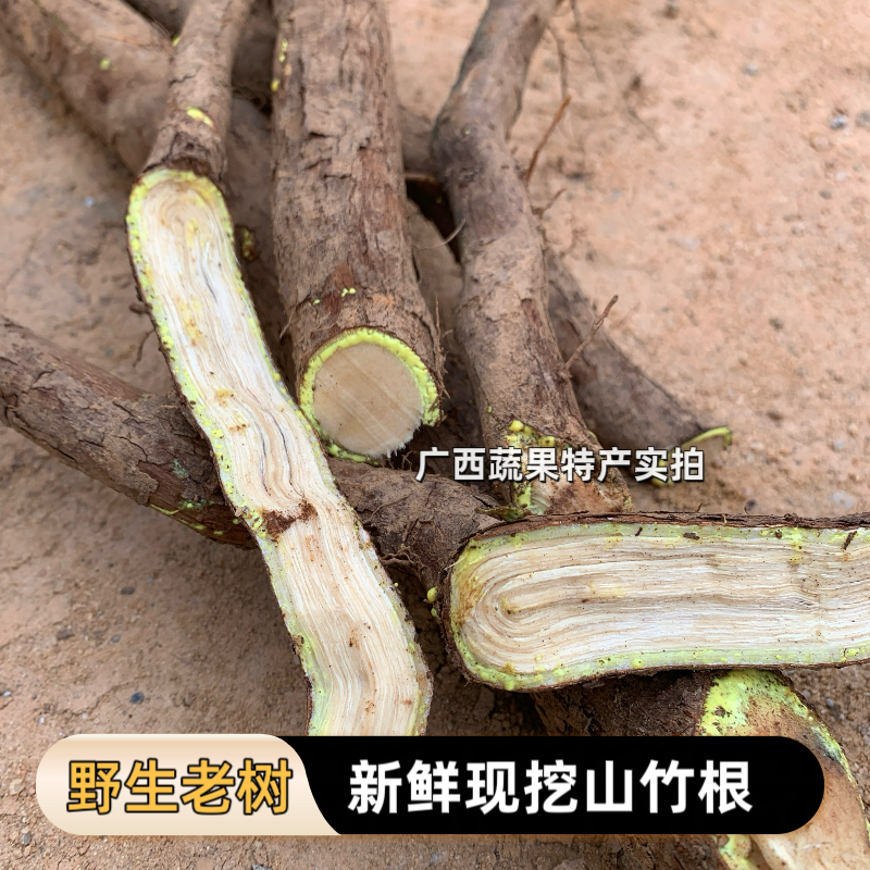 广西新鲜野山竹根 木竹子 中草药 酸桐子 竹节果 岭南山竹老树根