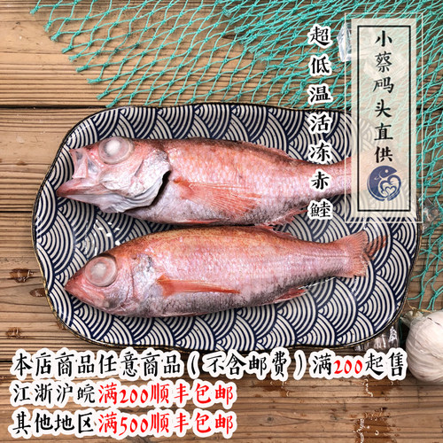 【小蔡码头直供】超低温活冻小赤鯥2条共300g深海拖网难看黑鳃