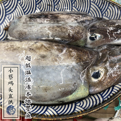 近海小网墨鱼出水立即-60冷冻