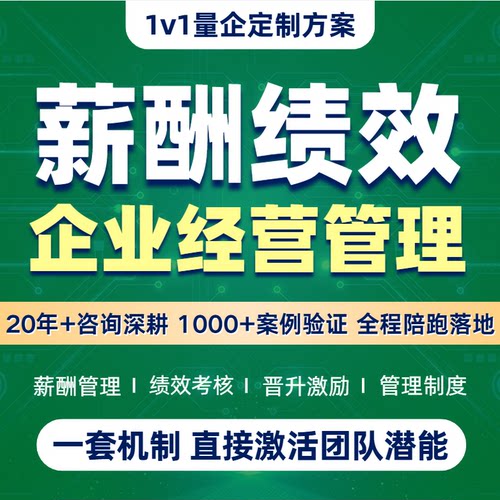 企业战略管理薪酬设计绩效考核激励全案人力资源电商公司全套制度
