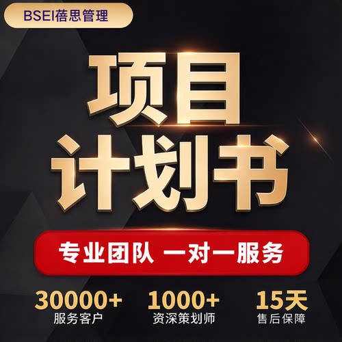 项目计划代写创新计划书总结竞赛创业项目管理分析报告方案撰写