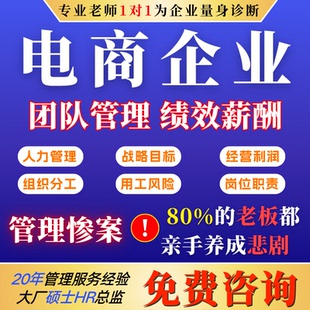 电商公司薪酬绩效考核设计全案激励运营制度方案人事管理岗位咨询