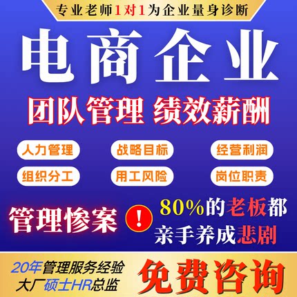 电商公司薪酬绩效考核设计全案激励运营制度方案人事管理岗位咨询