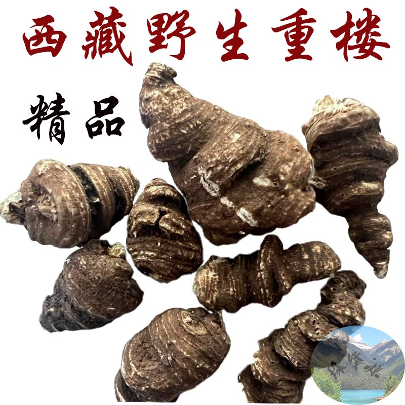 西藏直发100g西藏七叶一枝花 天然重楼 与市场的便宜货完全不同