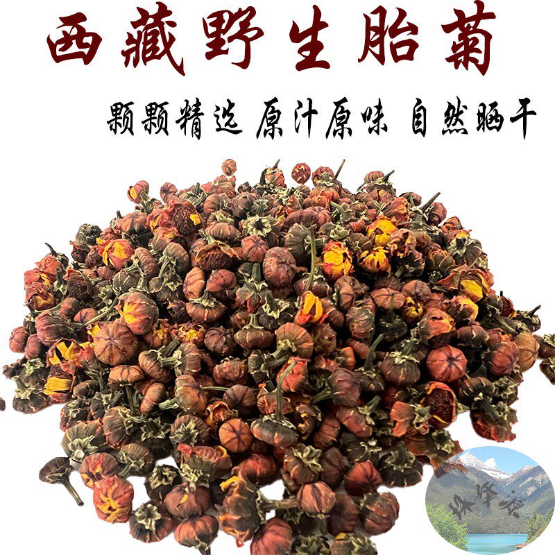 西藏直发 250克包邮 西藏野生胎菊 精选胎菊  味道特别香