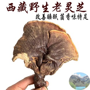 250g包邮 西藏野生灵芝 赤灵芝 精品货 藏灵芝 精选 野生老灵芝
