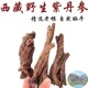 包邮 西藏林芝野生丹参 藏丹参 西藏直发500克 煮水喝 丹参中药材