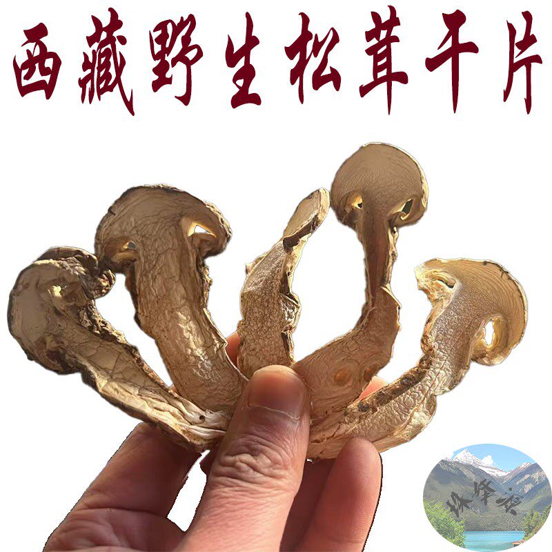 西藏直发 正品松茸 250g包邮 西藏林芝野生松茸 干片 松茸干片