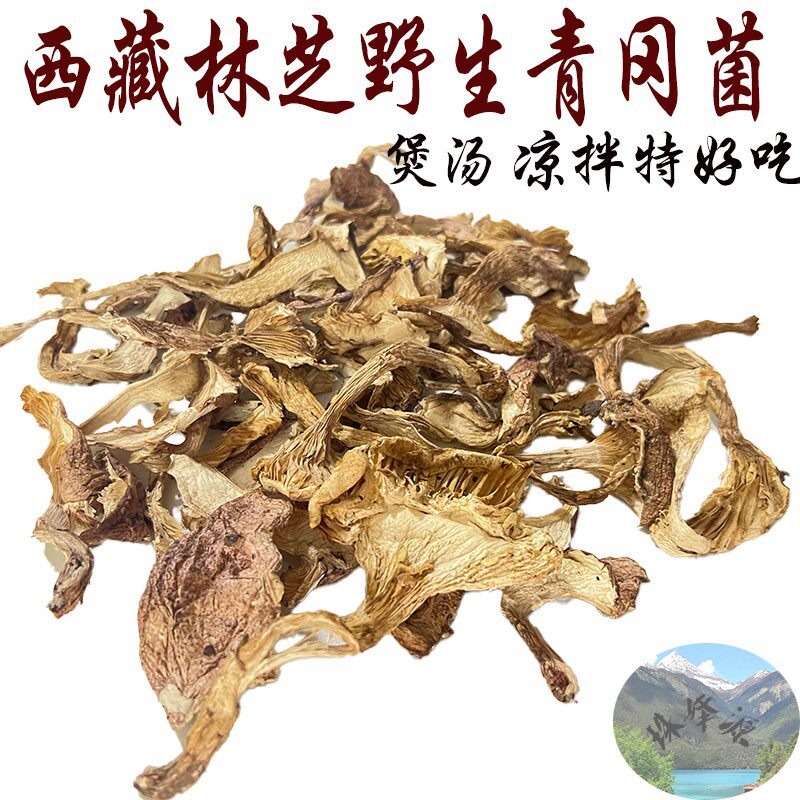 250克包邮 西藏野生青冈菌 干片  青冈菌 煲汤凉拌 原始森林野生