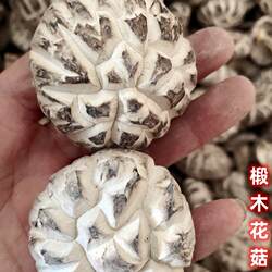 香菇干货花菇丽水龙泉土特产椴木香菇肉厚干蘑菇新货500克无添加