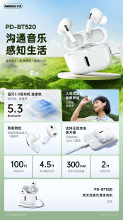 睿量ANC降噪音乐通话耳机BT530支持无线充电5.3蓝牙舒适 Remax